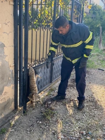 Hatay’da parmaklıklara sıkışan kedi kurtarıldı
