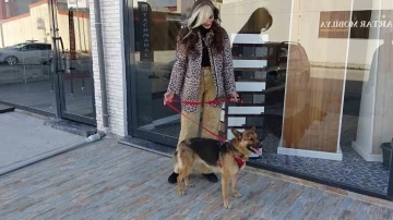 Hatay’da yaralanan köpek, 6 ay süren tedavisinin ardından sağlığına kavuştu
