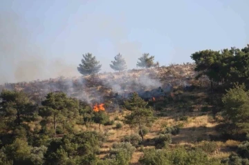 Hatay’daki orman yangınına havadan helikopterler ve uçakla müdahale ediliyor
