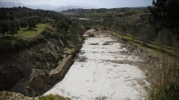 Hatay'da depremler zeytin bahçesini ikiye ayırdı