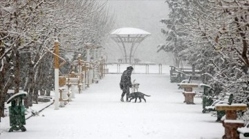 Hava kirliliğiyle boğuşan Tahran'da kar sevinci