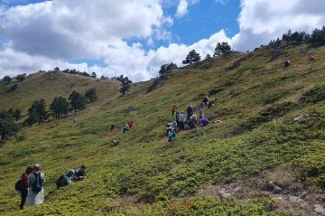 Hem yürüyüş yaptılar, hem likarpa topladılar
