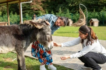 Hepsiburada, Hayvanları Koruma Günü’nde hayvanları unutmadı
