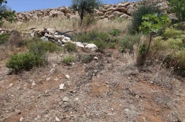 Her yerde aranıyordu, bahçesini sulayan vatandaşın aldığı koku üzerine cesedi bulundu