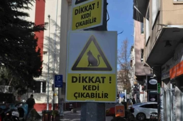 Hız yapan duyarsız sürücüler için “Dikkat Kedi Çıkabilir” yazılı önlem
