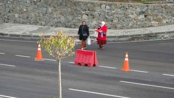 Hızlı seyreden araçlara rağmen yolun karşısına geçmeye çalışıyorlar
