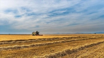 Hollanda'da hükümet ile çiftçiler arasındaki görüşmelerde anlaşma sağlanamadı