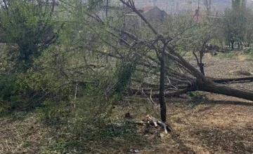 Nevşehir'de şiddetli yağıl sonrası Özel İdaresi, çalışmalarını sürdürüyor 