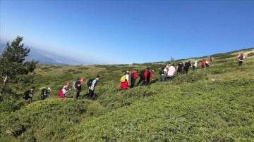 Ilgaz Dağı 15 Temmuz Şehitler ve Milli İrade Tırmanışı yapıldı