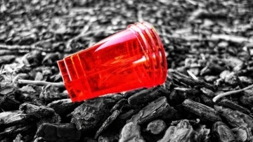 İngiltere'de tek kullanımlık plastik çatal, bıçak ve tabaklar yasaklandı