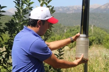 Işıklı tuzaklarla 893 adet haziran böceği ergini yakalandı
