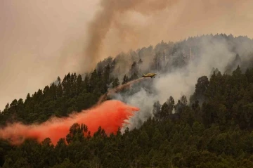 İspanya’nın Tenerife Adası alev alev: 3 bin 273 hektarlık alan küle döndü
