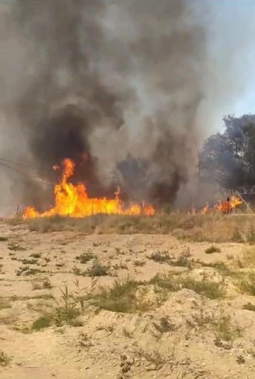 Isparta’da 10 dönümlük sazlık küle döndü
