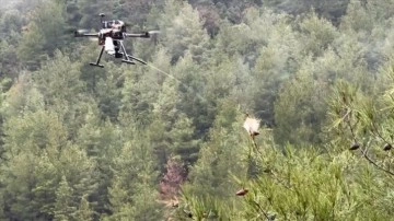 Isparta'da çam kese böcekleriyle mücadele için dron geliştirildi