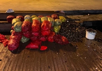 İstanbul’da 1 ton kaçak midye ele geçirildi
