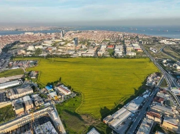 Istanbul’da Kanola Tarlası manzarası görenleri mest etti
