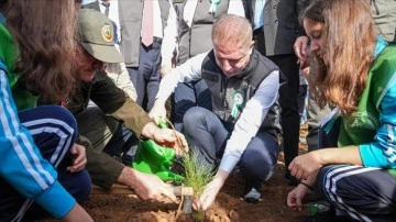 İstanbul Valiliğinin etkinliğiyle Beykoz'da yanan ormanlık alana fidan dikildi