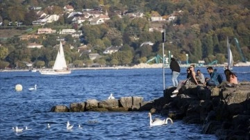 İsviçre'de bu yıl "en sıcak dördüncü ağustos" yaşandı