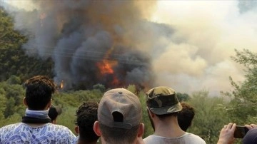 İsviçre'de üç gündür devam eden orman yangınını söndürme çalışmaları sürüyor