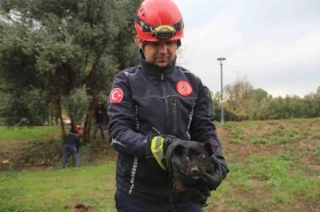 İtfaiye erinden su borusundaki köpeğe kahramanca kurtarış
