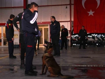 İtfaiye erinin eğittiği arama kurtarma köpekleri 18 kişinin hayatına dokundu
