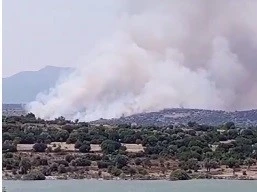 İzmir’de makilik alanda yangın
