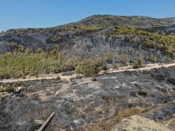 İzmir’de yanan yerler havadan görüntülendi
