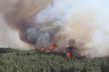 İzmir’deki yangından dolayı bazı uçuşlar iptal edildi
