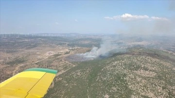 İzmir'de makilik alandaki yangına müdahale ediliyor