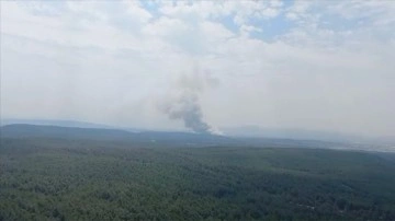 İzmir'de orman yangını çıktı