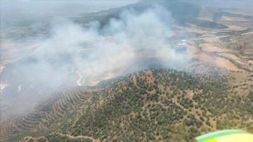 İzmir'de tarlada başlayan ve bozuk ormana sıçrayan yangına müdahale ediliyor