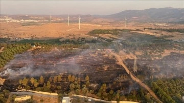 İzmir'in Aliağa ilçesinde orman yangını çıktı