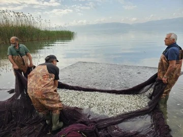 İznik Gölü'nde tutulup Yunanistan, Ukrayna ve Amerika'ya ihraç ediliyor