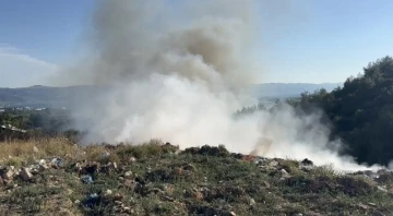 Bursa İznik’te çıkan yangın hızla büyüyor