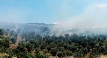 İznik’te makilik alanda çıkan yangın söndürüldü