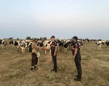 Jandarma ekipleri, kaybolan hayvanları dron ile bularak sahibine teslim etti
