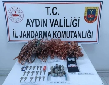 Jandarma şüphesinde haklı çıktı, hırsızları yakaladı
