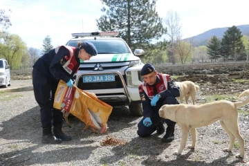 Jandarma ve çocuklardan anlamlı etkinlik
