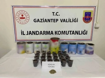 Jandarmadan uyuşturucu operasyonu
