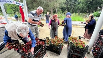 Kabir ziyareti yapan vatandaşlara 25 bin çiçek dağıtıldı
