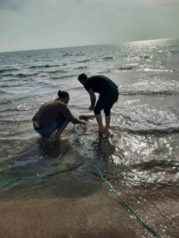 Kaçak ağa takılan deniz kaplumbağası kurtarıldı
