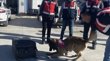 Kaçakçıların naftalinli ve parfümlü zula yöntemi "Asır'ın hassas burnundan kaçmadı