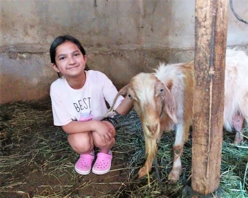 Kaçan kurbanlık keçi, 5 gün sonra boş bir evde bulundu
