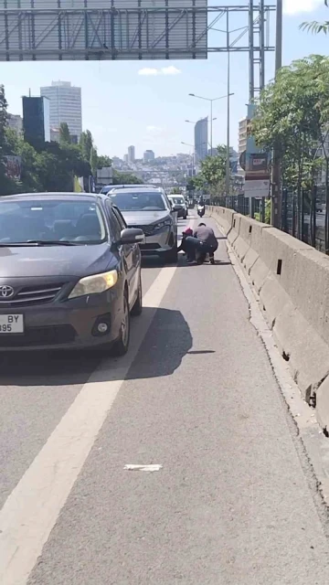 Kadıköy D-100 karayolunda yavru kediyi kurtaran duyarlı vatandaş kamerada
