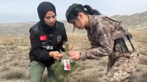 Kadın polisler, şehit kadın polislerin anısına fidan diktiler
