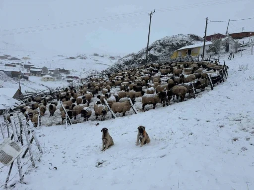 Kadırga Yaylası’na kar düştü, yaylacılar dönüşe geçti