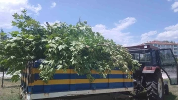 Kahramankazan Belediyesinden bakım çalışmaları
