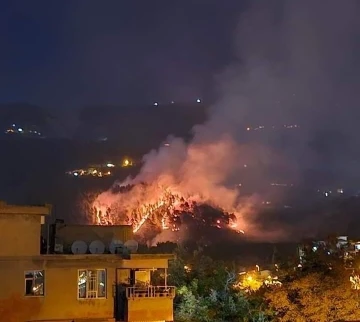 Kahramanmaraş’ta orman yangını
