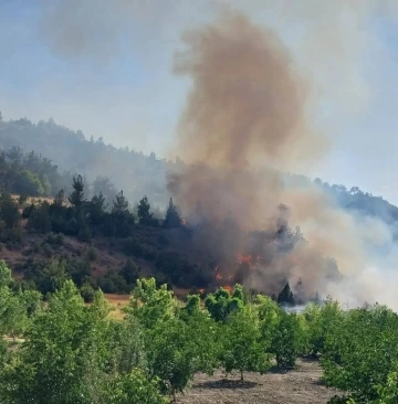 Kahramanmaraş’ta orman yangını