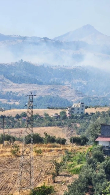 Kahramanmaraş’ta orman yangını
